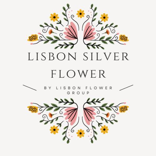 Gasthof Silver Flower - Flat In Center 3*